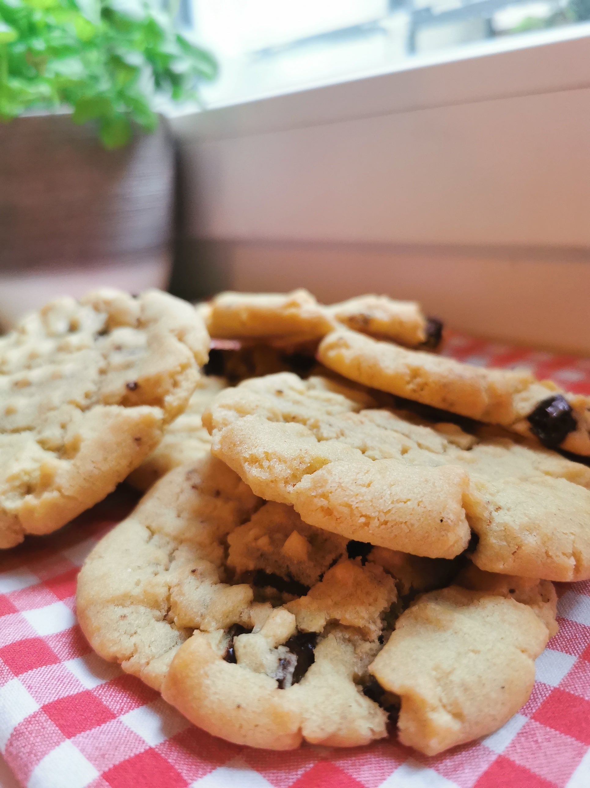 COOKIES - Salted Peanutbutter Chocolate Chip